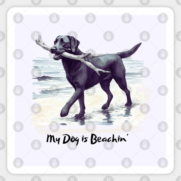 My Dog is Beachin' - Black Labrador Retriever Sticker by ZogDog Pro